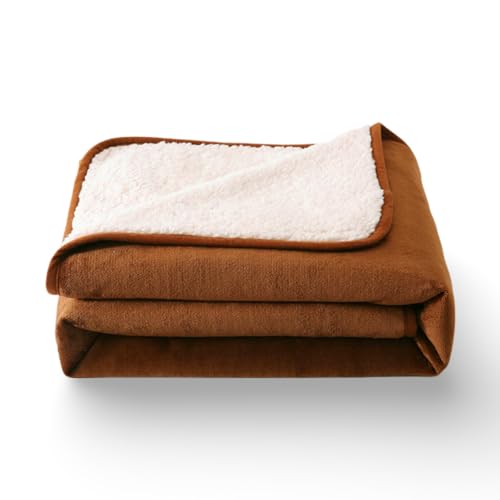 CareCooo wasserdichte Hundedecke Klein - 60x90cm Hundedecke Wasserdicht Waschbar, Flauschige Haustierdecke für Sofa und Katzendecke, Gold
