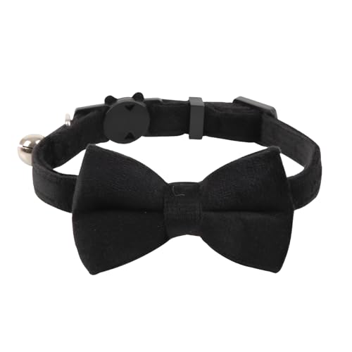 [GIIPET]L  ѕt t ߉\ S _炩 ybgpi  ^p (ubN)