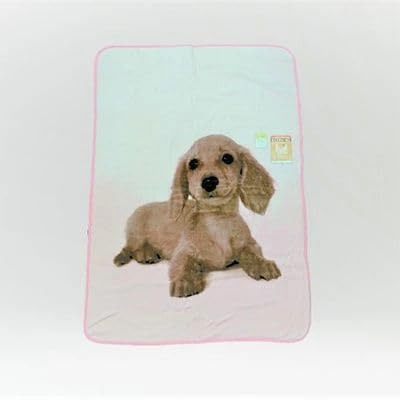 泉大津製 モイスチャー加工ハーフケット ダックスフンド犬 縦ピンク[0746]