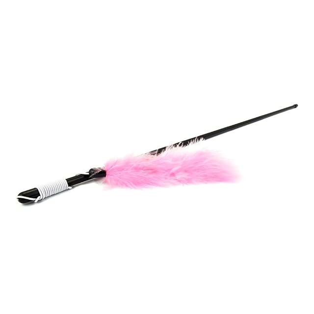 Foto 2 de 2 de JUGUETE PARA GATOS VARA CON PLUMA DE COLORES 48CM NAYECO