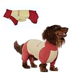 Dachshund Dog Cooling Summer Outfits, Four-Legged Sun Protection Clothes UPF50+, Quick-Dry Summer Shirt for Dachshund and mini Dachshund (Small)