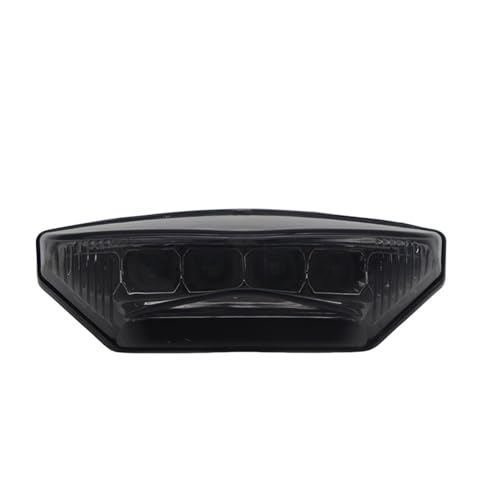 Luz trasera de motocicleta para rutas en S1000XR y G310R con freno integrado 5