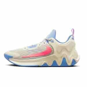 NIKE Giannis Immortality 2 Basketball Shoes Adult DM0825-103