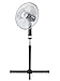 Produktbild NETTA - 3 Geschwindigkeitsstufen Oszillierender Lüfter - Standventilator 40 cm  schwarz/Silber
