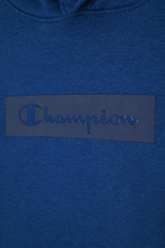 Image of Champion boys Graphic Hoodie Pullover Sweatshirt for Kids With Stylish Embellishments
