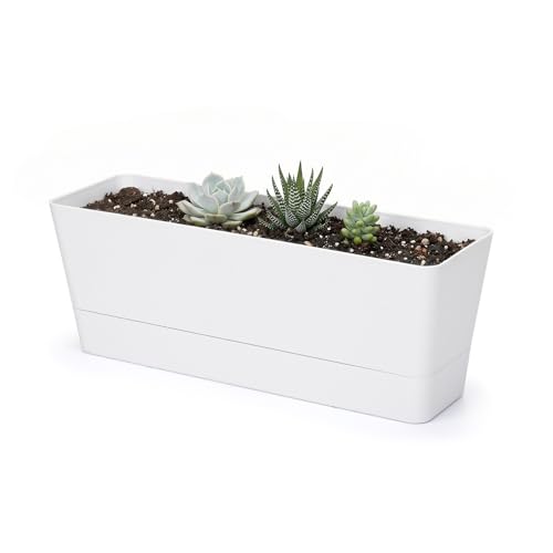 Image of GREANER Herb Planter with Tray, 1 Pack 12x3.8 Inch Rectangle Window Box, Indoor Succulent Flowers Succulent Plastic Pot for Windowsill, Garden, Balcony, Office Outdoor Decoration - White