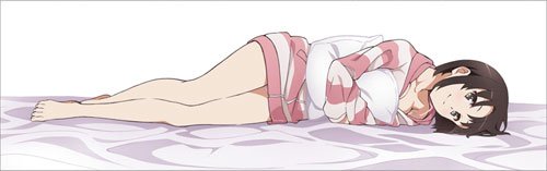 冴えない彼女の育てかた♭　加藤恵 抱き枕カバー フラット(2wayトリコット) Amazon | 冴えない彼女の育てかた♭ 加藤恵 抱き枕カバー フラットVer