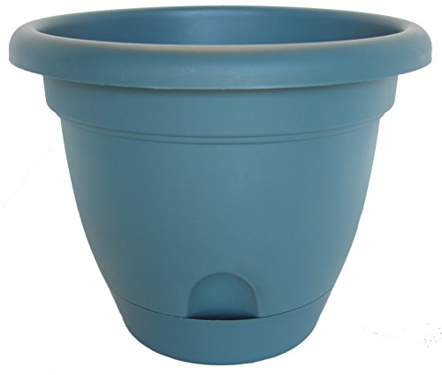 Bloem Living LP0648 12-Pack Lucca Self-Watering Planter, 6-Inch, Turbulant