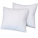 BioPedic Luxurious 28-by-28 Inch Euro Square Pillows, 2-Pack