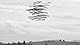 Ornithographies