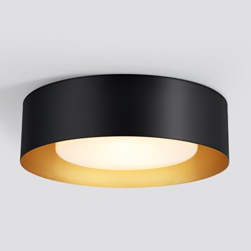 Vikaey Modern Mid Century Flush Mount Ceiling Light, 2-Light Minimalist