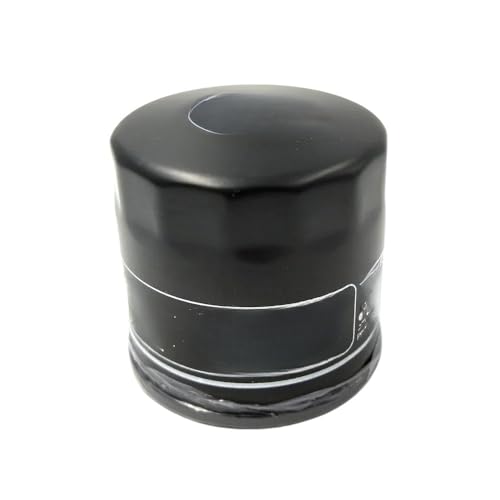Filtre à carburant moto hors-bord pour stopper les ratés moteur des F80 F100 F115