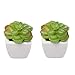 Home Trends Set of 8 Green Succulents Artificial, Mini Succulent Plants, Faux Succulents Potted in White Ceramic Pots
