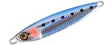 ゼスタ(Xesta) 906-1066 キャスティングジグ AFTERBURNER (アフターバーナー) 40g #146.REIW リアルマイワシ ゼスタ(Xesta) 906-1066 キャスティングジグ AFTERBURNER (アフターバーナー) 40g #146.REIW リアルマイワシ