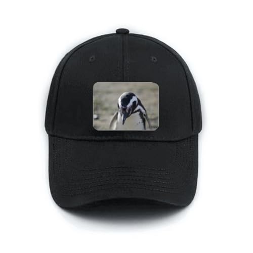 Casquette baseball noire pingouins mignon : idée cadeau originale
