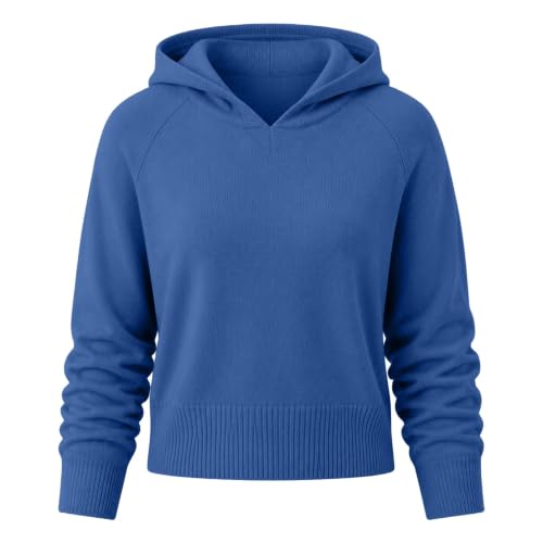 Hoodies Sweaters for Women Knit Casual Oversized Lightweight Warm Sweater Blue L - image 3