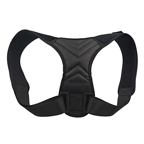 �ҒŃo�b�N�X�g���[�g�i�[ - ���߉\�Ȕw�����p���������u�A�����j���p�o�b�N�u���[�X�p���������u�A�{�f�B�E�F���l�X�p���������u�A��l�p�w���㕔�T�|�[�g�u���[�X charitable