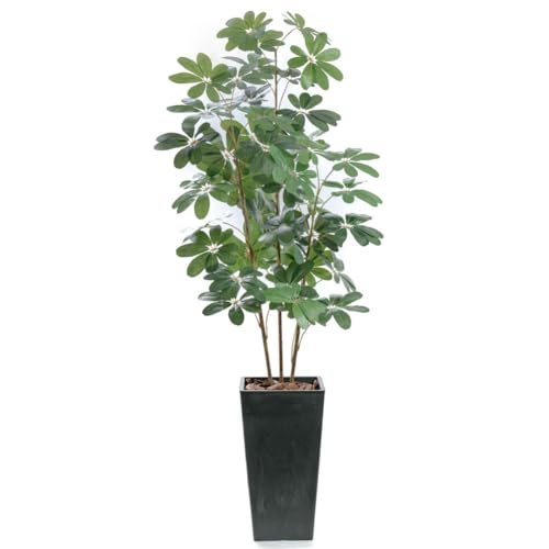 tFCNO[ ^ i` SC/CTG}H/J|bNiVFtEA{Rj LL 160cm Ȃ  ubN