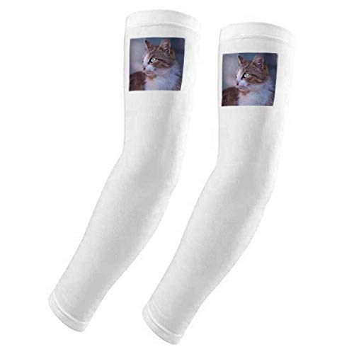 Housse de protection pour les bras motif chat marron anti-UV pour cyclisme