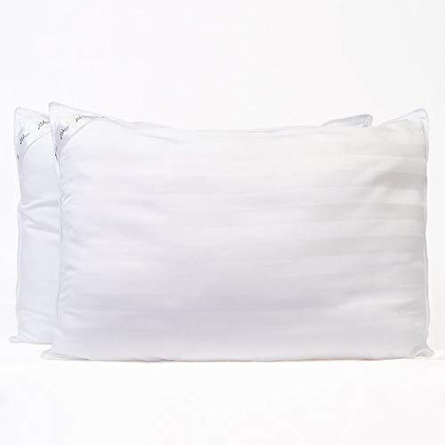 Aloha Soft - 100% Viscose from Bamboo Pillow with 100% Viscose from Bamboo Shell & Fill - Pack of 2 (Standard)