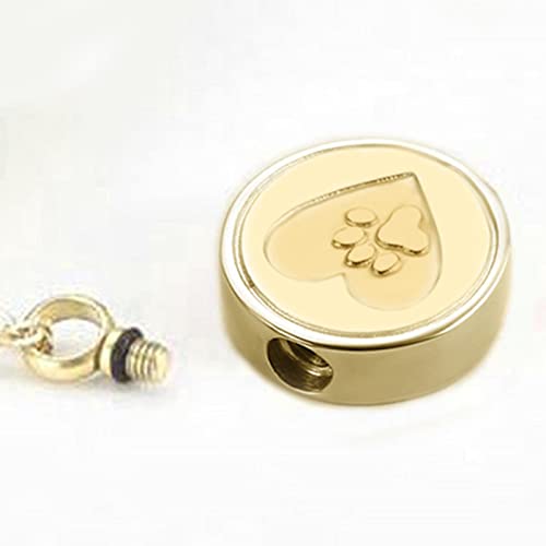 DYNWAVE Colar de Urna de Joias para Cremação de Cinzas de Animais de Estimação, Superfície de