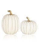 GoGnome Set of 2 White & Gold Decorative Pumpkins – Resin Fall Harvest Table Centerpiece, Elegant Autumn Décor for Thanksgiving Decoration Farmhouse Home (White)