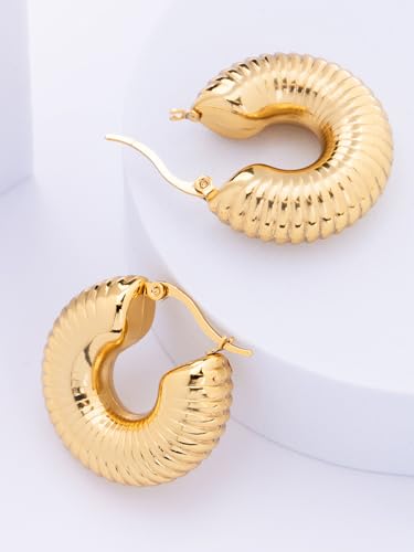 Image of Scintillare by Sukkhi Excellent Stainless Steel Round Hoop Earring Jewellery for Women & Girls|Anti Tarnish Jewellery|Gifts for Wife Girlfriend Mother Sister