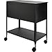 Lorell Standard Lock Mobile File Black 28.35