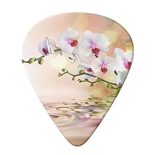 White In The Pond Lot de 6 médiators pour guitare acoustique, guitare électrique, basse, ukulélé – fins, moyens et épais… - Les Beatles, Paul McCartney, John Lennon, RIngo Starr, George Harrison White In The Pond Lot de 6 médiators pour guitare acoustique, guitare électrique, basse, ukulélé – fins, moyens et épais… – Image 3