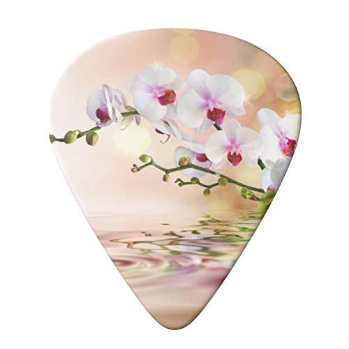 White In The Pond Lot de 6 médiators pour guitare acoustique, guitare électrique, basse, ukulélé – fins, moyens et épais… - Les Beatles, Paul McCartney, John Lennon, RIngo Starr, George Harrison White In The Pond Lot de 6 médiators pour guitare acoustique, guitare électrique, basse, ukulélé – fins, moyens et épais… – Image 4
