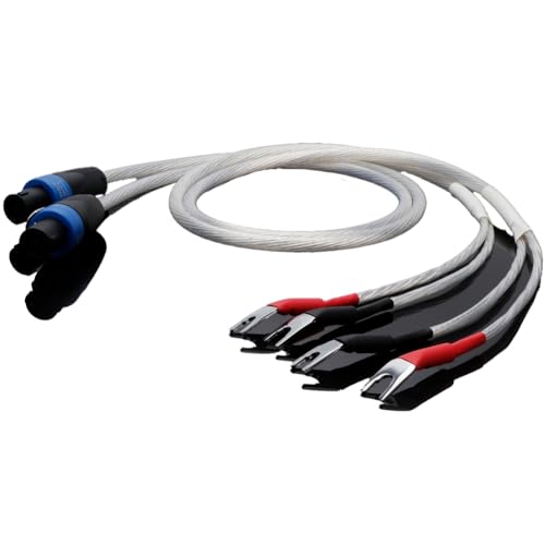 Câble de haut-parleur en argent Spoken pour subwoofer de scène acoustique haute fidélité