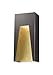 Z-Lite 561M-DBZ-GD-CSL-LED 1 Outdoor Wall Light, Bronze Gold