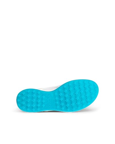 Image of ECCO Biom Hybrid I Hydromax