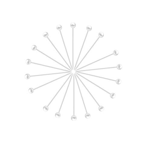 Flower Pins,ChooseU,100pcs Corsages Pins Head Pins Wedding Bouquet Pins Crystal Pins Floral Bouquet Pins Clear Straight Pins (C)