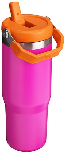 Image of Stanley IceFlow Flip Straw Tumbler 30 oz | Stainless Sreel Vacuum Insulated Water Bottle for Home, Office or Car | Reusable Cup with Straw | Leak Resistant | Vivid Violet