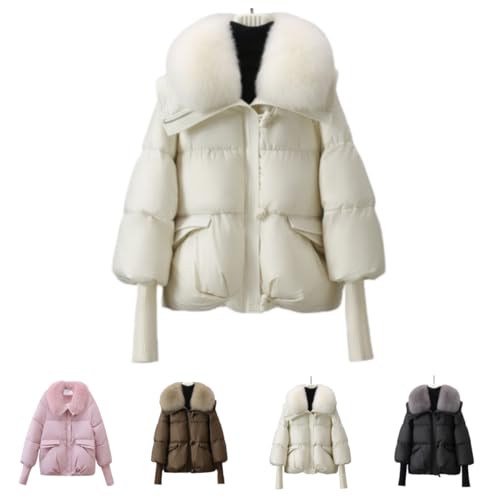 Gtzbciv_ER[g fB[X _EWPbg fB[XR[g R[g AE^[  g  JWA  H~ h h ʊw ʋ ~ (zCg,XL)