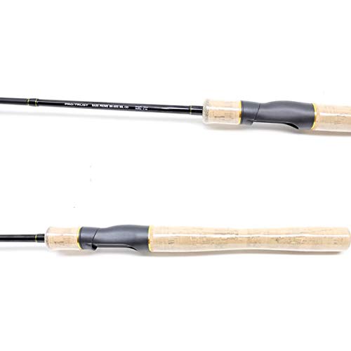 シーバスロッド&ライトゲームロッドセット　プロトラスト(ダイワ)&エイテック シーバスロッド&ライトゲームロッドセット プロトラスト(ダイワ