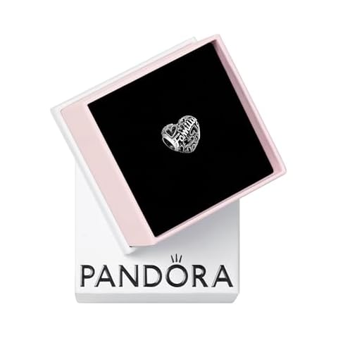 Charm Pandora 798571C00 en argent Cover