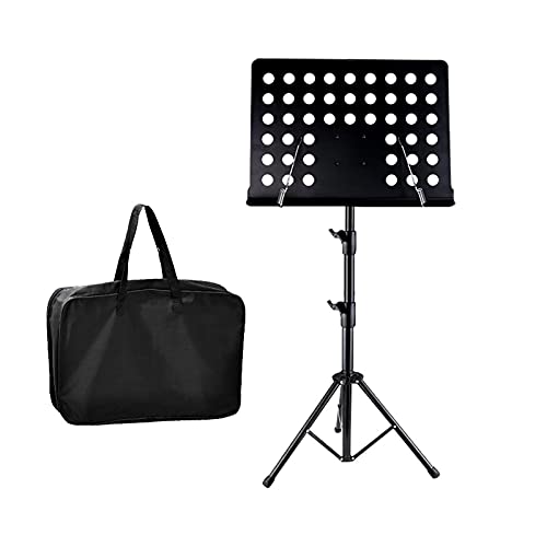 ʑ yX^hApx\ȃI[PXgX^h̃V[gX^hƉyV[gNbvz_[ALOobOt̕\LX^h y (Color : )