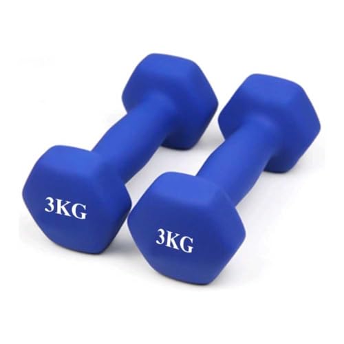 yPCATECz_x 3kg 2Zbg ؃g _x EGCg J[ _x SAC dumbbell (u[/3kg)