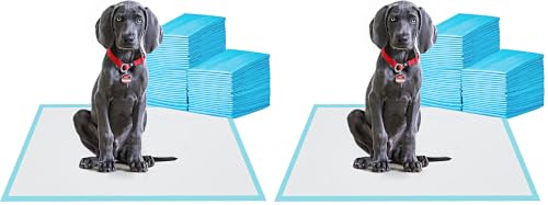 Image of BESTLE Large Pet Training and Puppy Pads Pee Pad for Dogs 24 inchx24 inch-80 Count Super Absorbent & Leak-Proof (Pack of 2)