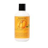 Good Earth Beauty Conditioner - Pumpkin Chai Natural - 8 Ounce