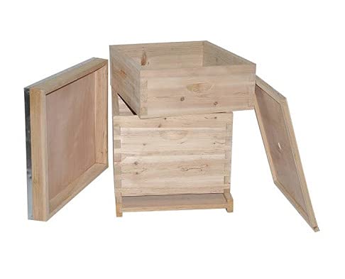 Kit de ruche Dadant 10C montage à tenons mortaise en bois brun pour Abeilles