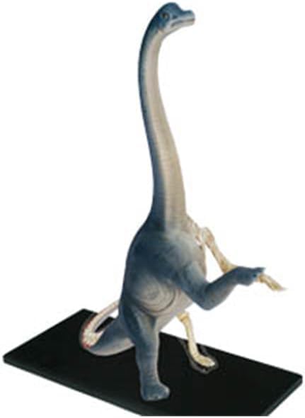 【新品❤️未使用】シュライヒ動物フィギュアレディース・メンズ⭐️アニマル14種セット 2025年最新】Yahoo!オークション -シュライヒの中古品・新品・未使用品