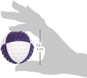 Vision Smart Visi Ball Dog Toy