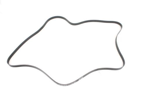 Frayed Shredded or Broken Drive Belt - 2003-2005 Ford with 6.0 Deisel Engine 2 Ford Genuine Ford Parts 3C3Z-8620-DB V-Belt
