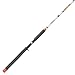 Shakespeare Wild Cat Casting Rod