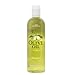 Olive Oil Shampoo, 10.1 oz - Regis DESIGNLINE - Fortified with Olive Oil and Rich in Vitamins E and K to Help Protect Hair from Environmental Damage