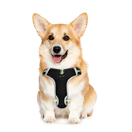 BTNEEU Pettorina Cane Taglia Media Traspirante