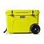 Firefly Yellow